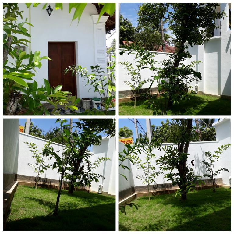 Best Inn Villa Mirissa Exterior foto